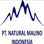 NAT